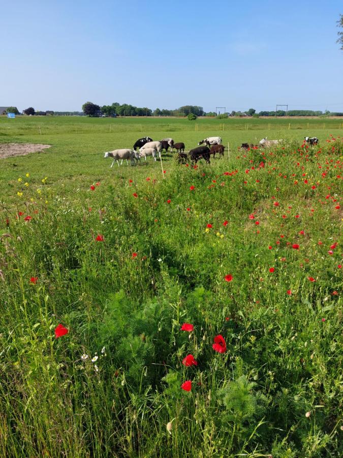 Boerderijkamer 'T Keukentje Wijhe エクステリア 写真
